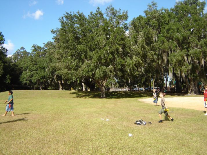 Fall Picnic 2010 - Kids Flag Football/Softball