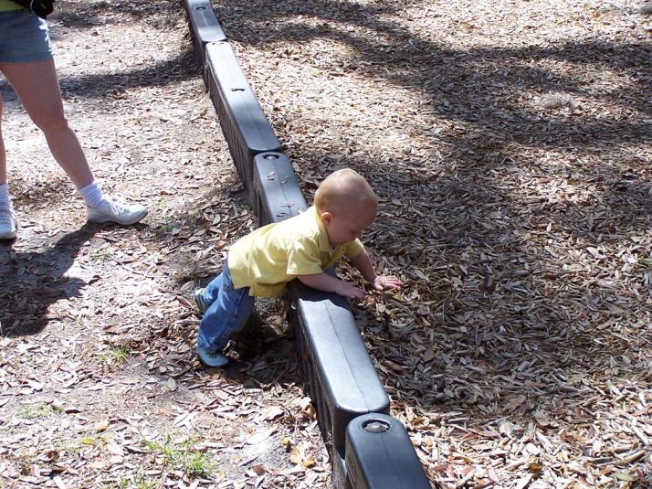 Spring Picnic 2010